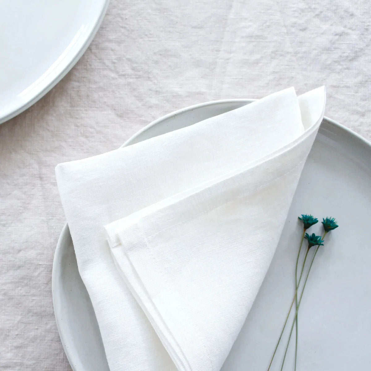 White Serviettes Paper Napkin Disposable Tissue for Party 30cm x 30cm 1Ply