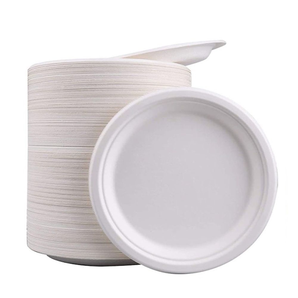 White Biodegradable Bagasse Paper Plates - 10" (26cm)