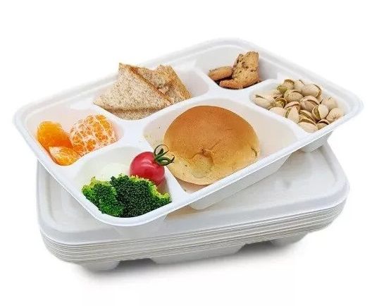 100x Sugarcane Bagasse 6 Compartment Plates Biodegradable Section Plates - 11" (28cm)