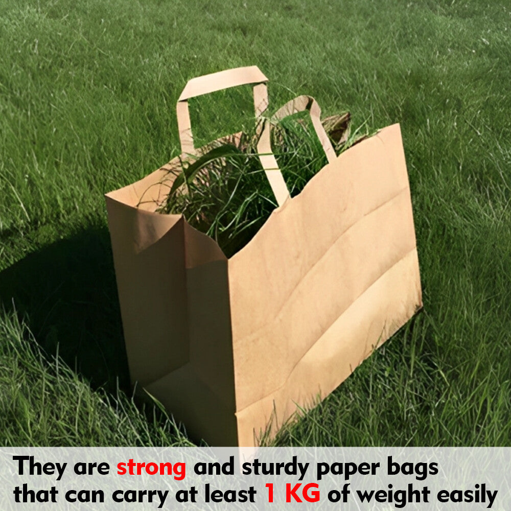 25 x Flat Handle Paper Bags S-M-L Kraft Paper Carrier Bag for Shopping Takeaway